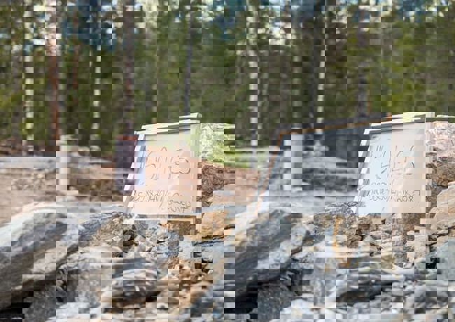 Dra på tomtebefaring 